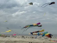 Appartement à la Plage Hotel in zona Berck Plage