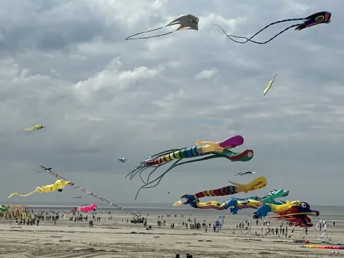 Appartement à la Plage