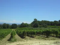 Gîte 70 m2 Les Oliviers