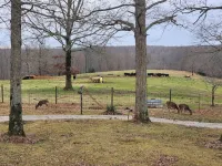 The Country Retreat Farmhouse close to fishing lakes and a scenic parkway