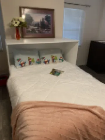 The Iowa Auntie’s 👩🏼‍🌾Quirky Little Shanty.  Better than staying with family! 😉