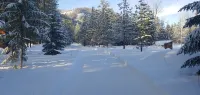 Alpine Woods cabin close to trails, ski in/out