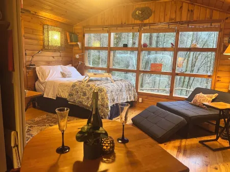 Private Mtn Love Shack w/ fast wifi, BBQ & view