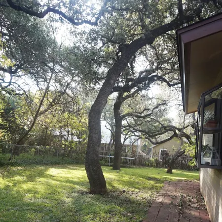 Heart of Town Near Heb with a Spacious, Beautiful Backyard to Enjoy.