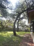 The house is in the middle of town, next to HEB with an amazing backyard.
