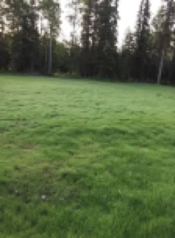 Meghan’s Mighty Moose-  spacious family cabin