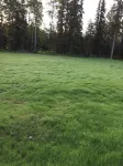 Meghan’s Mighty Moose-  spacious family cabin