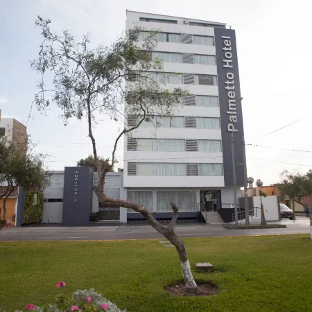 Palmetto Hotel Business San Miguel