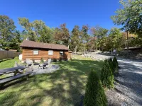 Walk to Beach - Close to Town - Pet Friendly Cabin