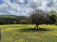 Hideaway Country Cottage Hotel a Toodyay