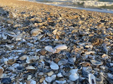 Glamorous 2 Story Beachfront Condo on Topsail Island