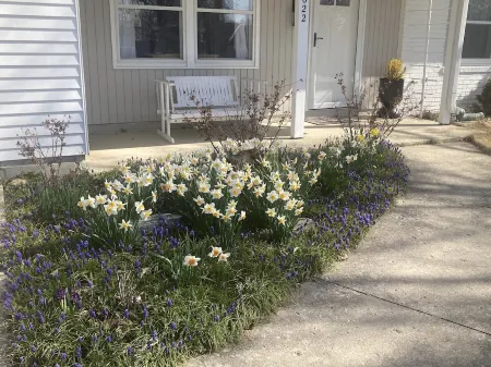 Quiet and comfy home is one of Fort Wayne's most sought after areas of the city