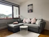 Vacation apartment Schwarzwaldblick in Lenzkirch (incl. HSC) Hotels in Lenzkirch