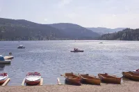 Fantastic vacation apartment SCHAUINSLAND on the outskirts of Freiburg i.B. Hotels in March