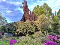Ferienwohnung im Grünen mit Eigenem Garten