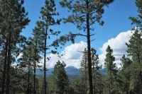 Peek at the Peaks~ private cabin with stunning mountain views & Starlink WiFi