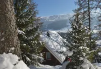 Adorable chalet perched in the forest with breathtaking views of the ski area.