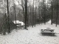 Dog Friendly w/flat lot - Between Gatlinburg and Pigeon Forge!