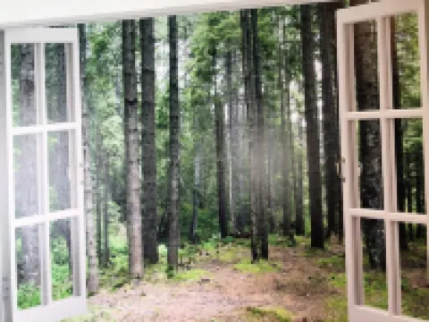 The city apartment with a feel-good character. Close to the center and yet in the countryside.