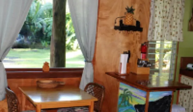 Lava Apartment in Paradise!