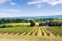 Cozy Barn Cottage Retreat nestled in the vineyards of Eola-Amity Hills