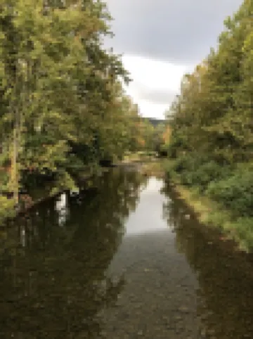 Cozy house in English Center, PA. Pine Creek Valley - Outdoor adventure awaits!
