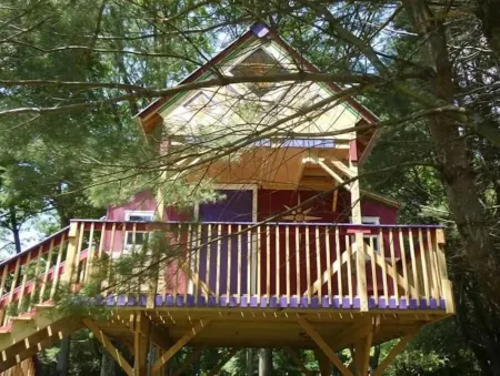 The Tree House at Underhill Hollow