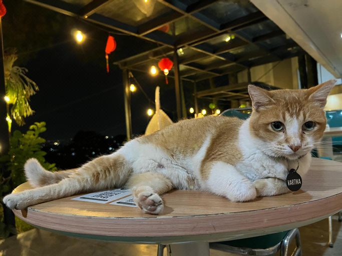 4. 아 유 앤드 아..