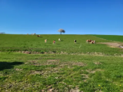 Cozy vacation apartment for 1 to 4 people. Perfect for a little time out