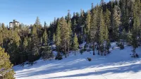 Heavenly Condo Overlooking The Stagecoach Lift.
