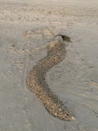 Great Rates for Pet Friendly, Gulf Front, North Cape Beach Paradise