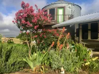 Couples Getaway in Small Town Waxahachie, Texas on10 Acres of Fields and Forest.