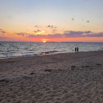 Your Cape Cod respite awaits! 5 minutes walk to quiet bay beach.