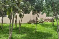 Silver Moon Guest House