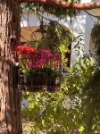 Detached Villa - Bisceglie