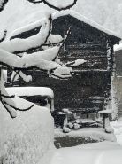 Historic Apartment in the old Village of Naters