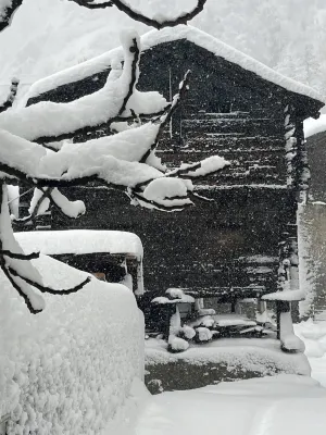 Historic Apartment in the old Village of Naters