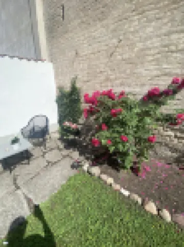 ホテル ヴィラ ボルゲン のホテル