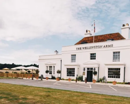 The Wellington Arms โรงแรมในHook