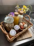 Cosy Rural Retreat Sleeps 3 & PetFriendly - Apartments