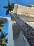 Two Palms Các khách sạn ở 
