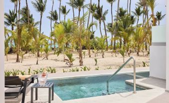 Riu Palace Bavaro - All Inclusive