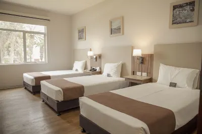 塔克那 DM 酒店 酒店