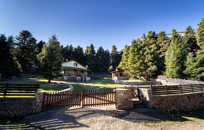 Dandy Villas Elatodasos - Chalet Artemis - Fir Forest - Jeep & Nature Lovers