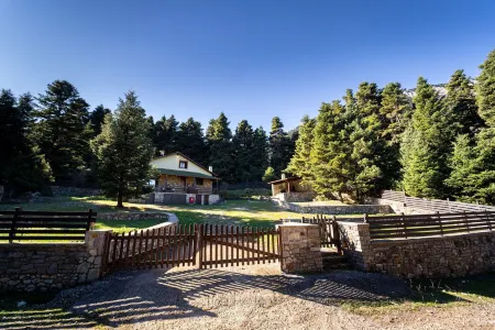 Dandy Villas Elatodasos - Chalet Artemis - Fir Forest - Jeep & Nature Lovers Отели рядом с достопримечательностью «Храм Аполлона»