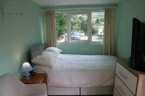 The Pines Cabin - Farm Park Stay Hotels in Mawr