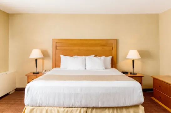 デイズ イン バイ ウィンダム エドモントン ダウンタウン