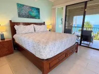 Exceptional Oceanfront Luxury Condo - Fully updated, AC, Top Floor, Quiet Hotels in Holualoa
