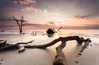 Peaceful Beaufort guest house, perfect for couples or families