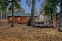 Hot Tub and Spacious Deck Amidst Pines - Stylish Tranquil Retreat